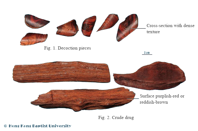 Jiang Xiang (降香) - Lignum Dalbergiae Odoriferae - TCM herb specimen
